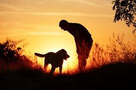 Grieving the loss of a pet after eu. Pet Loss Grief Kindred Spirits Pet Services