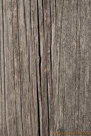 Old Dry Wood Texture Thetextureclub Com Obrazcy Drevesiny Tekstury Kartinki
