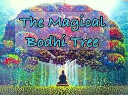 I Would Name My Child Bodhii For Enlightenment The Magical Bodhi Tree Children S Bedtime Story Meditation Bodhi Tree Kids Bedtime Bodhi