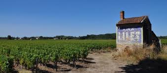 Propriétés viticoles à vendre : Des Vins De Bordeaux Plus Verts Pour Mieux Se Vendre