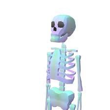 Seamless animation mariachi skeleton drinking beer isolated with alpha channel. New Trending Gif Online October 2018