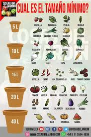 Cual Es El Tamano De Contenedor Minimo Recomendado Para Cada Cultivo Garden Jardin De Productos Comestibles Jardineria Jardin De Frutas