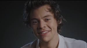 Harry Styles Reveals If He Likes When Songs Are Written About Him & Talks  One Direction In Album Doc