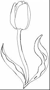 Http Alphabrainsz Net Wonderful Tulip Coloring Pages Marvelous Printable Tulips Flower Co Flower Coloring Pages Coloring Pages For Kids Spring Coloring Pages