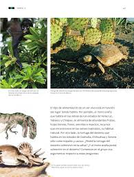 Undele sonore pot călca prin solide, lichide și gaze. Ciencias Naturales 3er Grado By Raramuri Issuu