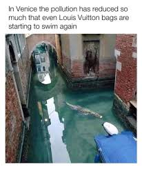 Pin On Humour