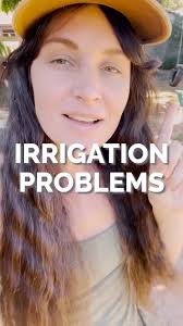Did you know that the number one cause for tree stress is improper  irrigation? Too much or too little water can cause issues with your tree  and serious health problems can ensue!, Irrigation is SO ...