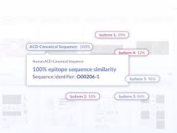 Introducing Predicted Cross Reactivity For Your Antibody Search