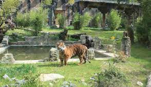 Attention is drawn to the asian zoo with architecture. Osnabrucker Zoo Zoo Osnabruck Zoo Osnabruck