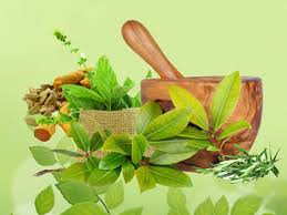 Ayurveda Symbol