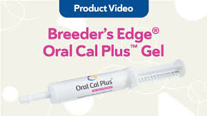 Image result for Oral Calcium