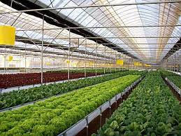 Ready Set Go Help Build Our Urban Farm Donate Today Greenhouse Farming Hydroponics System Hydroponics
