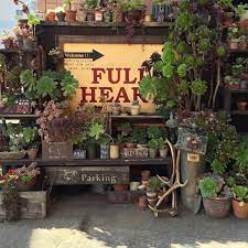 フルハート on instagram succulent aeoniumgarden よく同じのpostしてるけど やぱこの眺めが最高に好きなんです 今時期はみんな元気で嬉しいよ ノンフィルター やぱフィルターかけた方が誤魔化せるなw gard 植物栽培 ガーデンプラン ガーデン デザイン