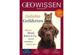 346 55 white wings wings bird. Was Tiere Uns Schenken Und Wir Ihnen Geo