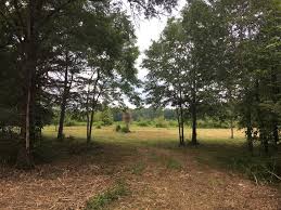 Maybe you would like to learn more about one of these? 32 Acres Fruit Trees Tillable Acre Farm For Sale In Cedartown Polk County Georgia 153409 Farmflip