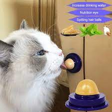 Us 39 98 Cat Kitten Healthy Treat Www Sheinv Com Cat Snacks Cat Nutrition Cat Vitamins
