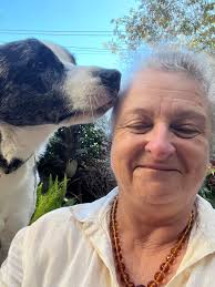 Dogs plus booties equals comedy.