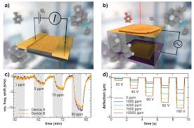 Cross-Linked Nanoparticle Membranes for Microelectromechanical Chemical  Sensors and Pressure Sensors