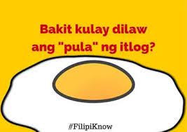 One of the best ways to challenge our mind is through trick questions. 11 Serious Answers To Mind Blowing Pinoy Questions
