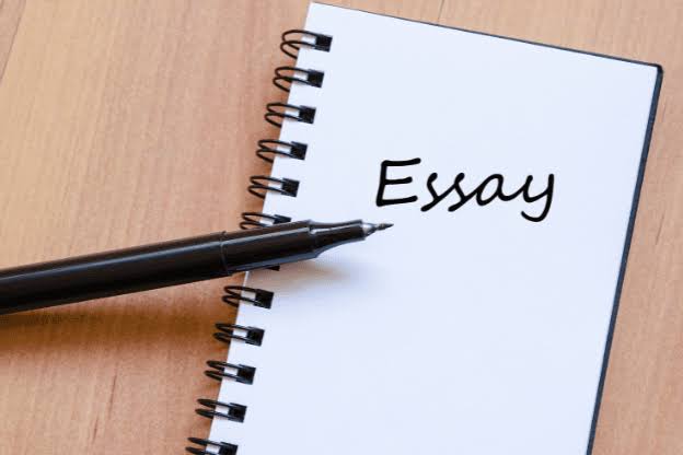 How To Write An Essay | A Guide For High School Students