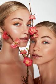 Lisa Obermeyer's Instagram, Twitter & Facebook