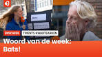 Het Twentse woord van de week: Bats! - YouTube