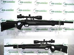 Pin On Carabines A Plombs