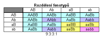 Cystická fibróza has 1,508 members. School Fbmi Bbblg Vypisky Genetika Wiki Borovicka Name