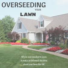 We did not find results for: Lawn Overseeding Basics Chesterfield Mo Patch