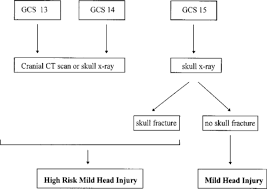 High Risk Mild Head Injury In Journal Of Neurosurgery