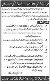 Download application form bf scholarships 2021. Kpk Government Merit Scholarship 2021 Form Download