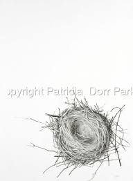 Patricia Dorr Parker Nest Pencil Drawing On Paper 20 H X 30 W Drawings Pencil Drawings Bird Drawings
