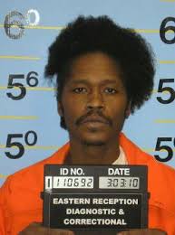 Housesitter kills burglar in St. Louis home