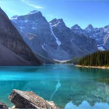 Also explore thousands of beautiful hd wallpapers and background images. Forest 46 Hd Nature Wallpaper 4k Download For Pc Background