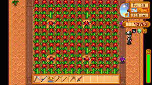 Foraging • oasis • cactus seeds. Cactus Farming In The Greenhouse Not As Lucrative As Ancient Fruit But Easy 32k Every 3 Days With 116 Preserves Jar Stardewvalley