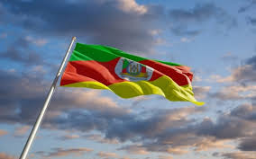 Perfil oficial, conteúdo diário melhores fotos e entretenimento do rs parceria com @regalegobr seguem lá tchê. Bilder Flag Of Rio Grande Do Sul Gratis Vektoren Fotos Und Psds