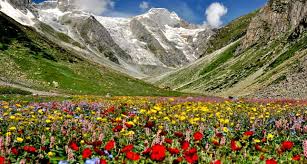 It is surrounded by mountains with trees at lower levels, brown and grey soil in the middle and bright snow at the top. Valley Of Flowers Trek Shine India Holidays