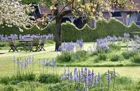 Pin On Landscape Inspiration