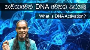 It's waking up our dna to our highest potential. Dna Activation Meditation 01 Sinhala Youtube