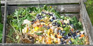 Check spelling or type a new query. How To Make Compost From Kitchen Waste At Home Greentumble
