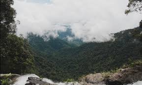 Một ngày trekking vườn quốc gia Bạch Mã | mytourblogs.com năm 2024