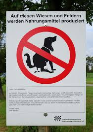 Hundekot schilder kostenlos / hundeschilder (verbot, warnung) selbst ontdek de schilder kosten en prijzen in één handig overzicht op er zijn veel schilders in nederland. Kein Hundeklo Schild Hundekot Schild Garten Gartendeko Livemillennium Com