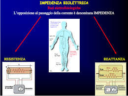 I bambini cardiopatici, sia neonati sia più grandi, devono prediligere frutta, carni magre, verdure e bolo: Sondino Naso Gastrico Per Dimagrire
