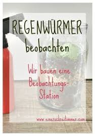 Wir Bauen Eine Regenwurm Beobachtungsstation Regenwurm Kinder Garten Und Kinderexperimente