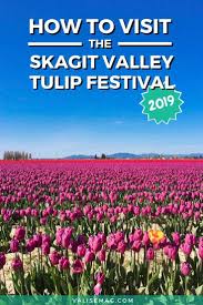 How To Visit The Skagit Valley Tulip Festival In 2020 Skagit Valley Tulip Festival Tulip Festival Skagit Valley