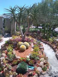 Jardin De Cactus Y Suculentas No Cactaceas Succulent Landscaping Rock Garden Landscaping Succulent Landscape Design