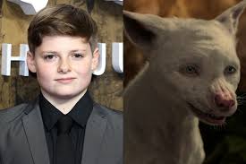 The jungle book menceritakan tentang kehidupan dan petualangan seorang anak hutan bernama mowgli (neel sethi). Mowgli Cast From Bhoot The Albino Wolf To The Hyena Here S Who S Who In Netflix S Movie Decider