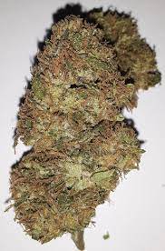 Like most strains, candy apple is great for growing indoor or. Hybrid Candy Apple Kush Cannasense