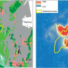 Image result for Hilsenbergia petiolaris
