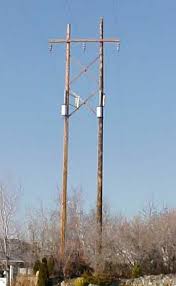 Wood Electric Pole Google Search Electricity Prison Forest